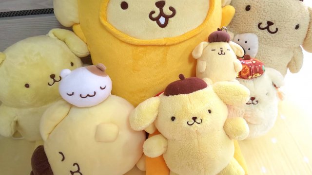 家のポムポムプリン