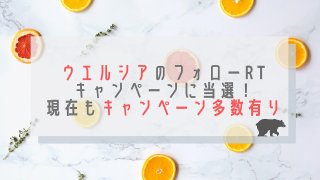 ウエルシアキャンペーン