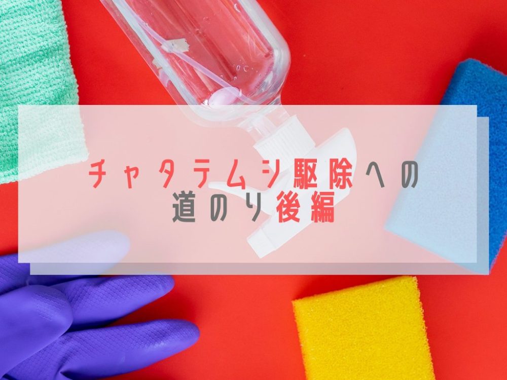 チャタテムシ駆除への道のり 大量発生で大騒ぎした話 後編 かきたま
