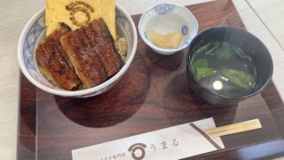 うな玉丼